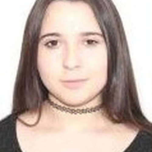 Image Description