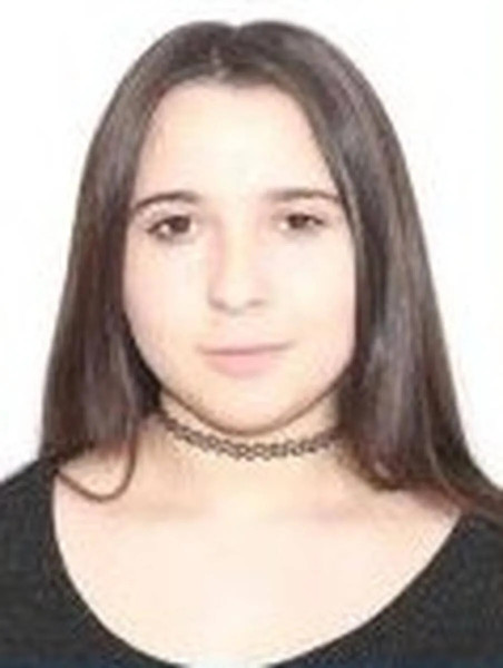 Image Description