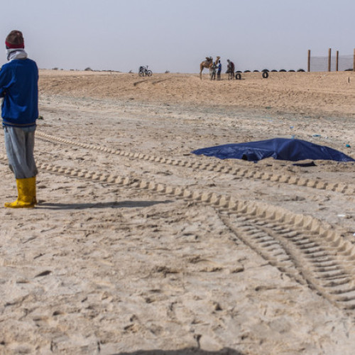 Titlu: Cel puțin 49 de migranți au murit într-un naufragiu în largul coastei Mauritaniei