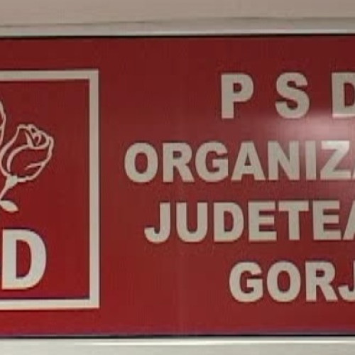 PSD Gorj a stabilit candidați pentru funcțiile de primar și președinte în 62 de localități