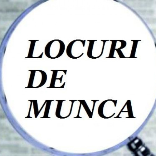 Locuri de muncă disponibile în România și în spațiul economic european: diversitate pe piața muncii, cifrele ANOFM