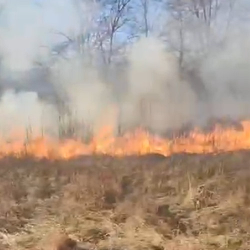 35 de incendii de vegetație uscată, stinse de pompieri într-o singură zi în Gorj