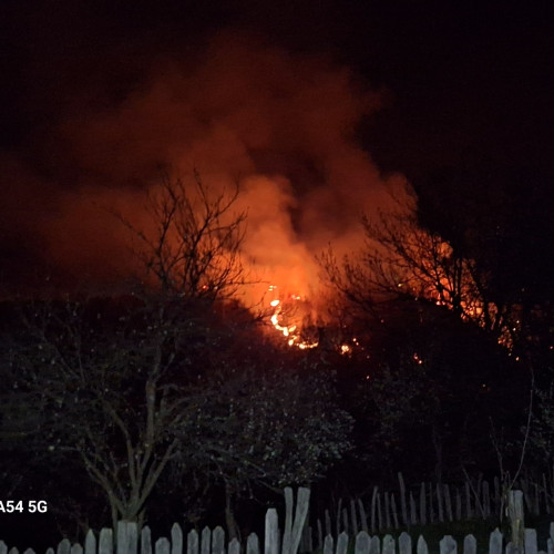 Novaci, Gorj: Incendiu dezastruos devastator. 30 de hectare de pădure arse în timpul nopții.