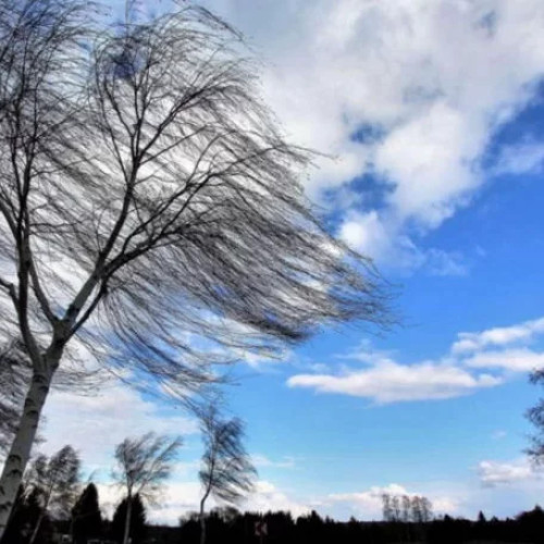 -Cod Vreme Puternici - Puternice Viteze de Vânt în Oltenie

Viteză Vânt Puternică în Oltenie- Avertizare Meteorologică Cod Galben Și Cod Portocaliu în întreaga țară Până Marți Seara