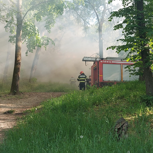 CRAIOVA: Femeie intoxicață în incendiul din Parcul Romanescu, intervin pompierii