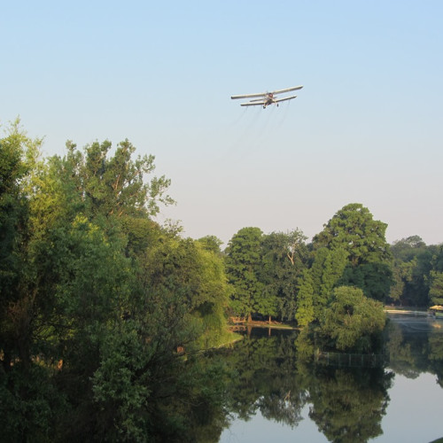 Desfășurarea unei Noi Etape de Dezinsecție Aeriană în Craiova! Vizate Lacurile și Zonele Verzi din Municipiu!