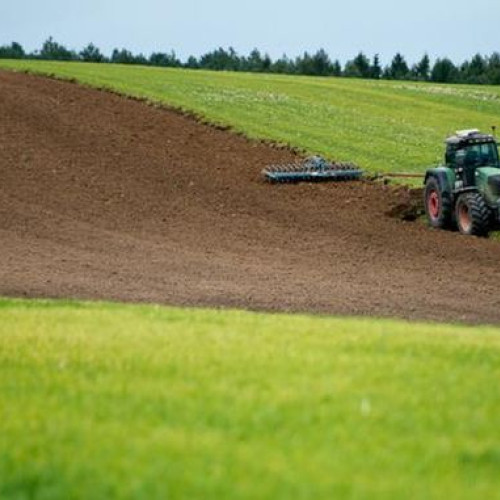 Doljul devine campion la vânzarea terenurilor agricole în aprilie 2024